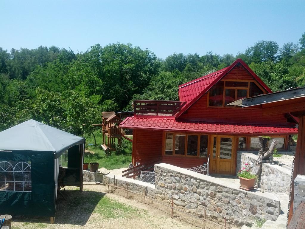 Pensiunea Magdalena Campulung Exterior foto